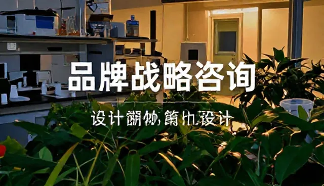 品牌策划与设计适用条件及实际问题处理方向